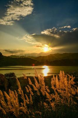 攀枝花市仁和區人民政府