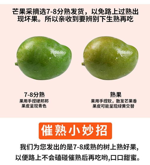 川郵自營 攀枝花凱特芒果精品嘗鮮裝4斤 單果700g 1000g