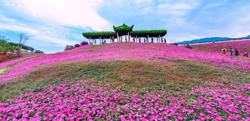 攀枝花入選2019年中國(guó)康養(yǎng)產(chǎn)業(yè)可持續(xù)發(fā)展能力20強(qiáng)地級(jí)市