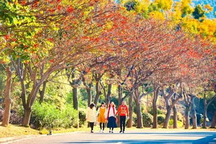 新年喜訊 攀枝花陽光康養(yǎng)產(chǎn)業(yè)獲評(píng) 2016四川十大改革轉(zhuǎn)型發(fā)展案例