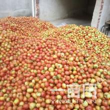 鄒春波的農(nóng)產(chǎn)品批發(fā)/采購(gòu)