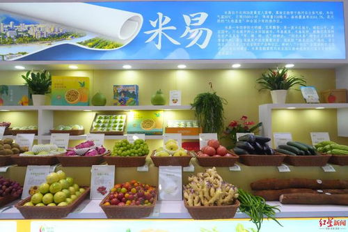 芒果 石榴 黑松露 攀枝花百余種特色農(nóng)產(chǎn)品亮相四川農(nóng)博會(huì)