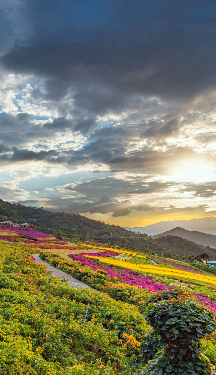 深圳,攀枝花,城市建筑,景觀風(fēng)光。