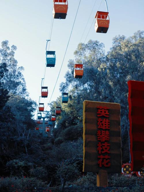 早8點(diǎn)的攀枝花公園