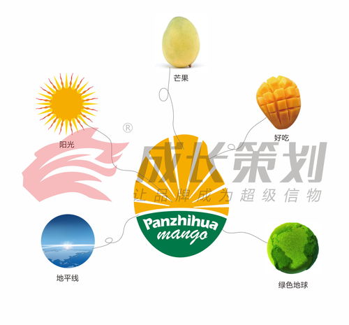 成長(zhǎng)策劃助力攀枝花打造攀枝花芒果區(qū)域公用品牌,成為中國(guó)百?gòu)?qiáng)
