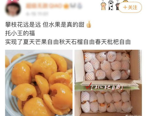 你以為的進口熱帶水果，可能都來自'四川小三亞'攀枝花