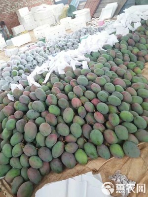 預(yù)售實(shí)惠 攀枝花凱特芒10斤裝僅35元，7月12日發(fā)貨