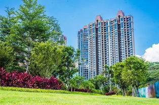 購房正當時 全員營銷月火熱開啟，攀枝花置業享好禮